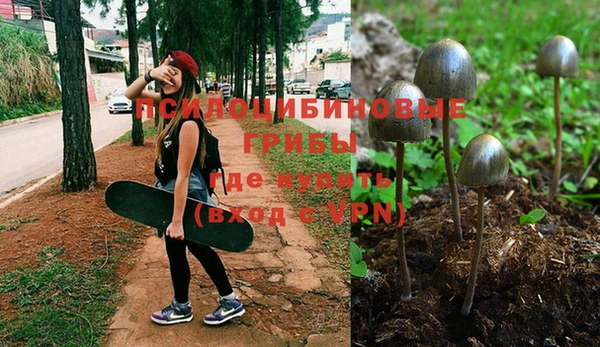 мяу мяу мука Алексеевка